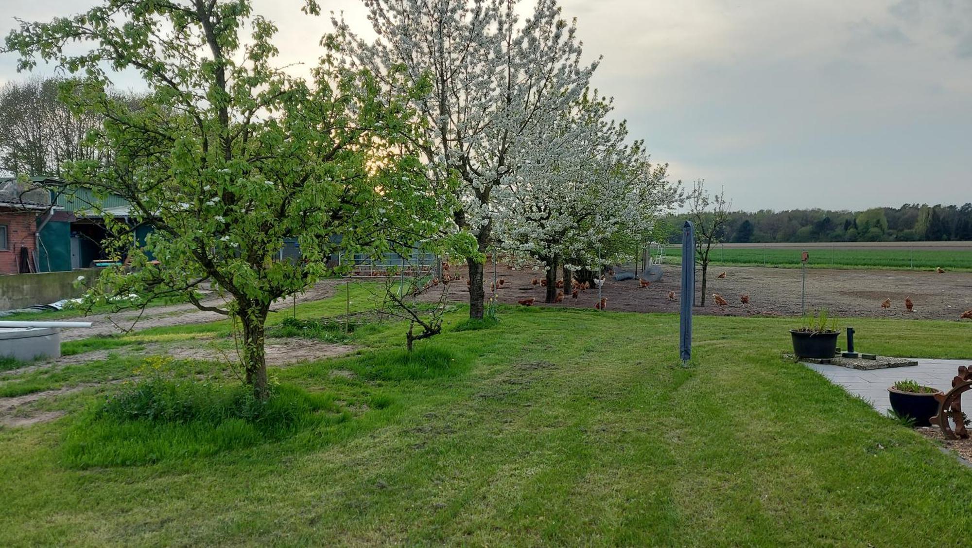 Huehnerhof-Roehrs Schneverdingen Exterior foto